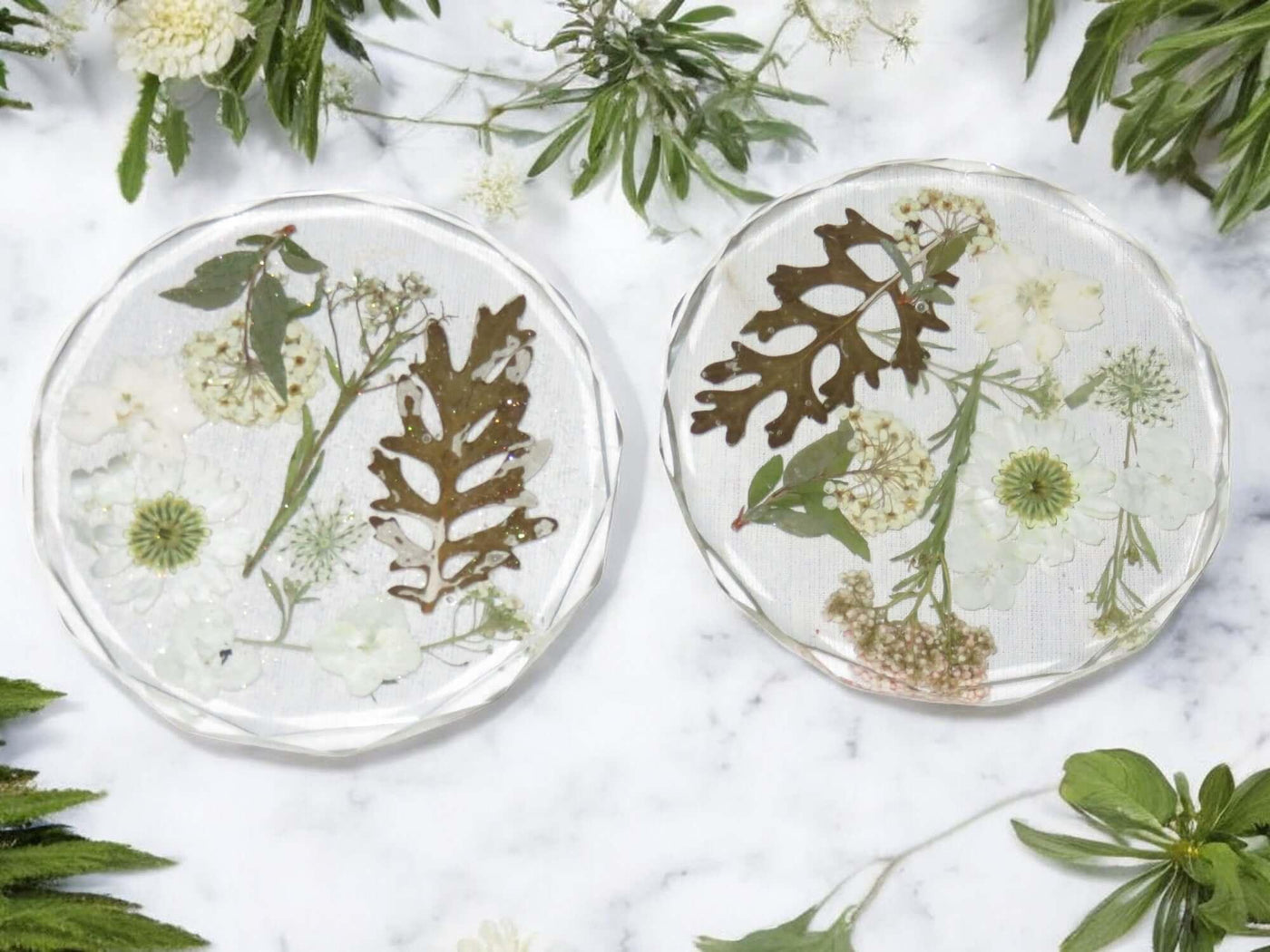 Pair of Acrylic Coasters