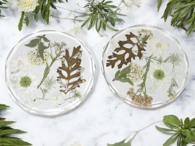 Pair of Acrylic Coasters