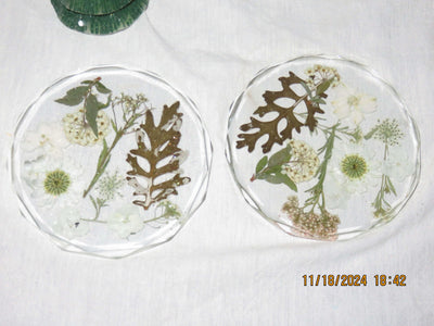Pair of Acrylic Coasters