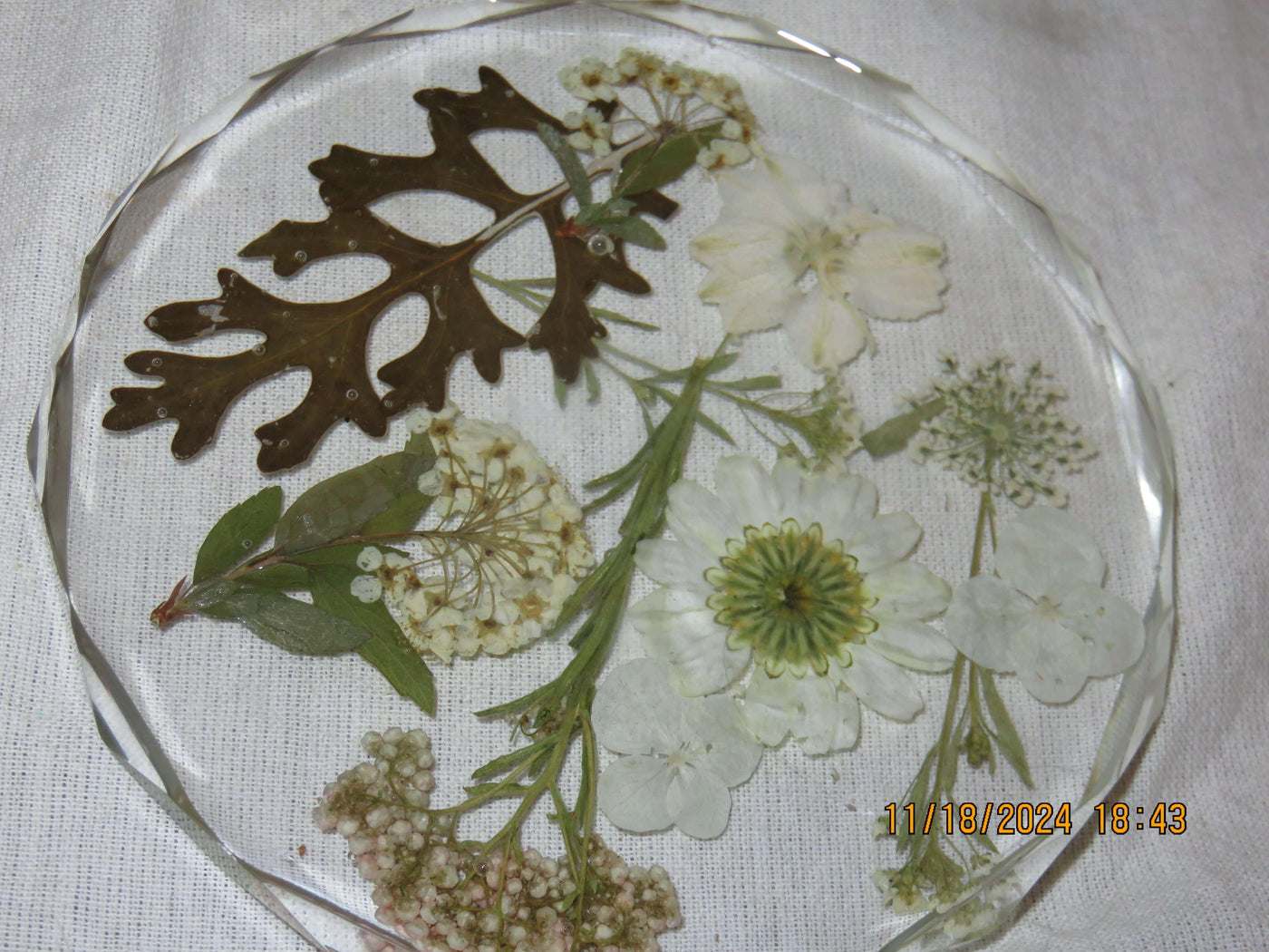 Pair of Acrylic Coasters