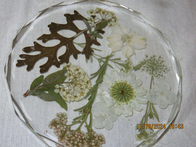 Pair of Acrylic Coasters